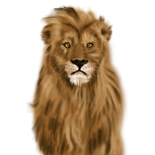 可爱狮子手绘插画psd图片