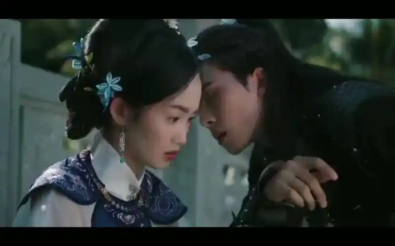 影视剪辑越南mv落花流水侍卫一