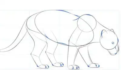 手工/爱好 > 书画/音乐2 绘制黑豹的身体和颈部的形状.