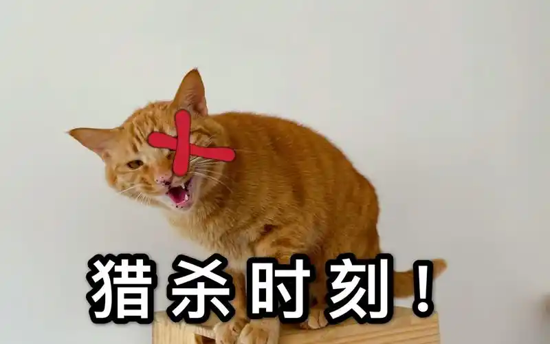 猎杀时刻!_哔哩哔哩 (゜-゜)つロ 干杯~-bilibili