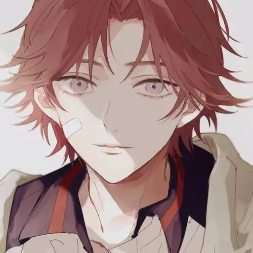 网王菊丸英二六月