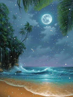 240_320竖版 竖屏gif 动态图 动图