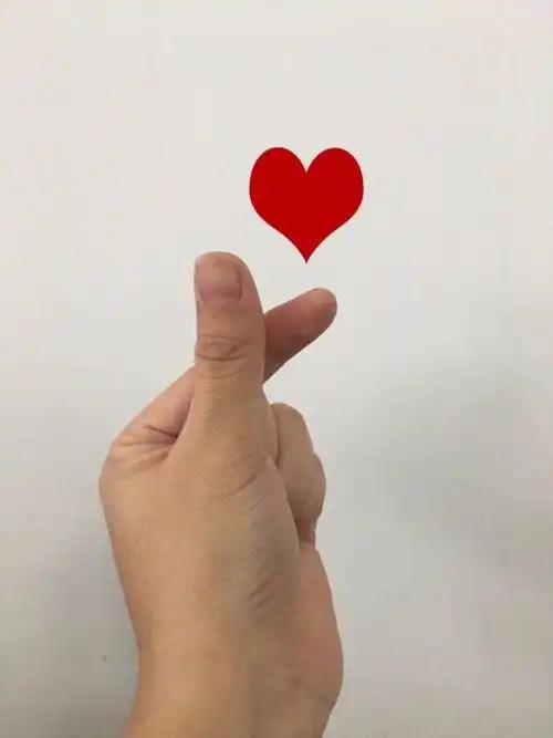 九种手势代表爱你