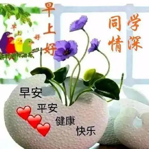 8张有创意的老同学早安问候动画表情图片老同学早上好问候祝福图片带