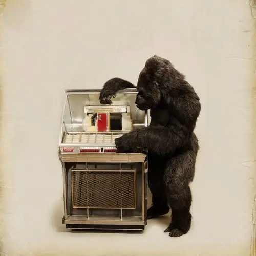 一首给时间的挽歌 - mono猫弄