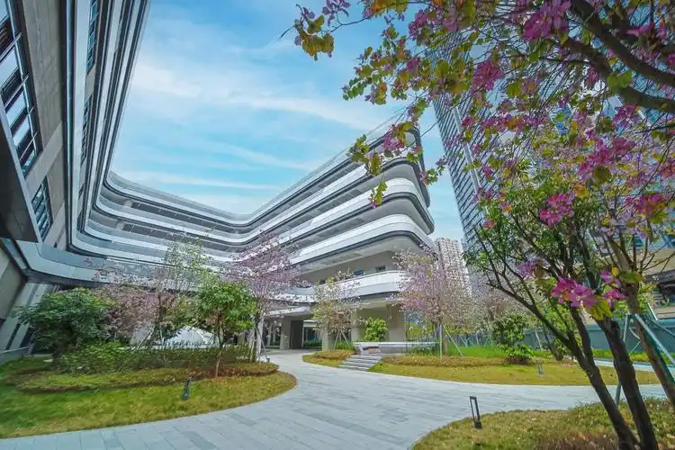 关注院士导航冠军引路航天铸魂量子赋能深圳市格致中学开放日来啦