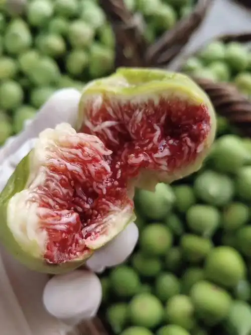 教你如何储存网购无花果流蜜75火速收藏75