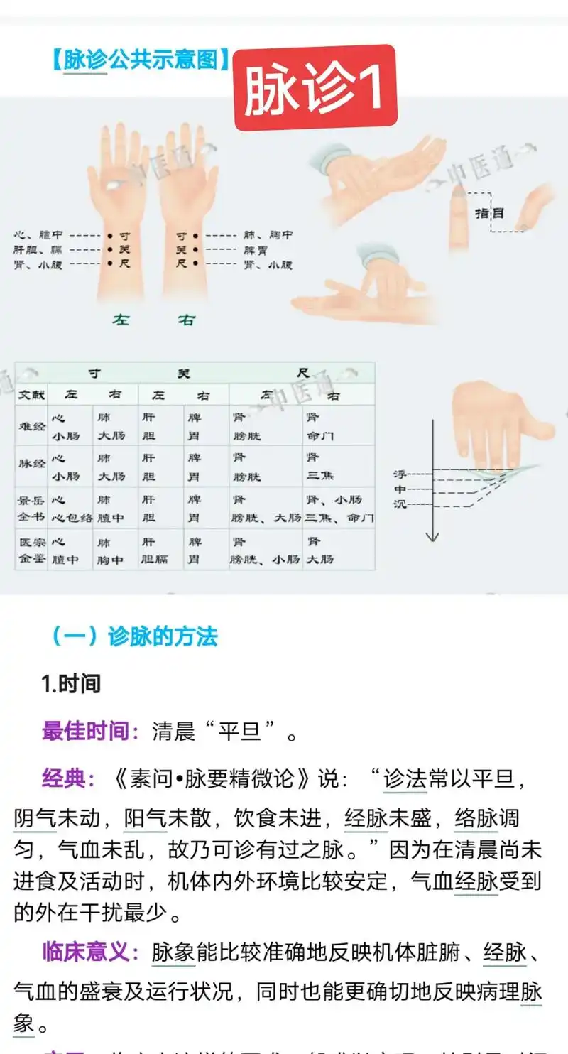 中医辩证 #脉诊 #中医把脉 #把脉入门教学 #把脉一学就 - 抖音