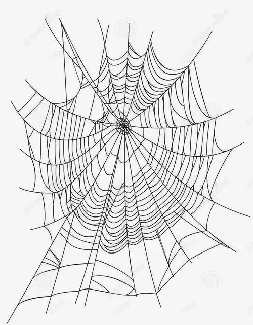 com 丝 丝线 卡通蜘蛛网 手绘 素描 线条 网 网丝 蜘蛛 蜘蛛网 蜘蛛网