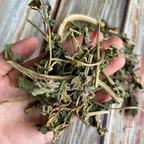 香草50g香料大全零草灵草家用调味料卤菜炖肉花椒