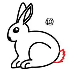 兔子简笔画步骤教程图片5068儿童网儿童简笔画之可妮兔儿童兔子简笔画