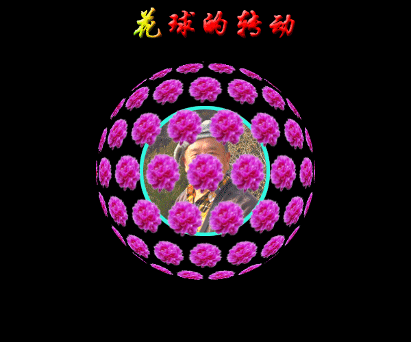 【原创】花球的转动