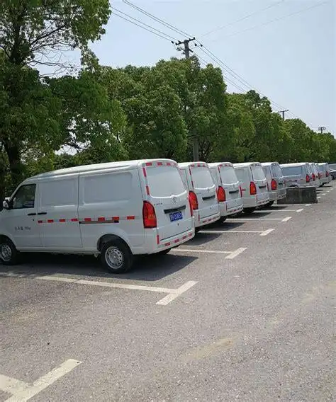 【物流货运面包车 客货两用 纯电动新能源轿车 可以上牌 可以过户】