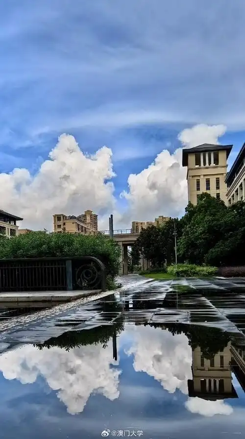 澳大##为中国最美校园打call##澳门大学##澳大之美##澳大一隅