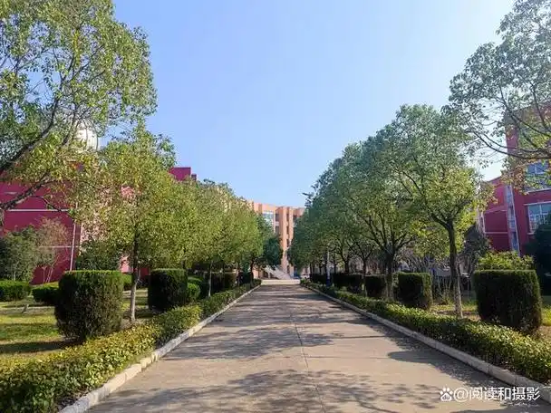 9月,怀着"上罗山高中,考名牌大学"的向往,我来到信阳市罗山县高级中学