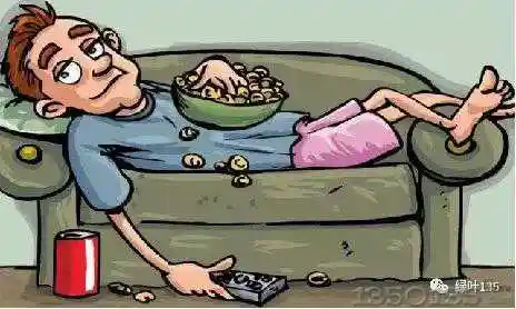 懒惰的人不适合养猪