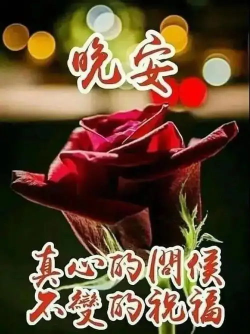 和爱人说晚安的情话晚安短句送给心爱人