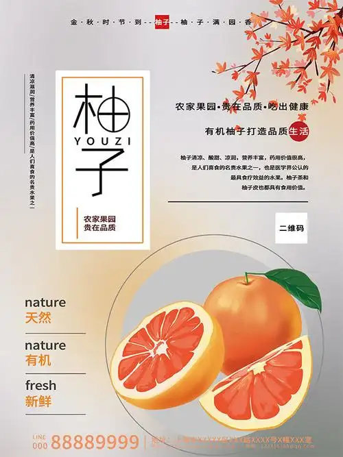 简约柚子水果海报