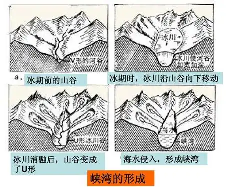 冰川沿山谷向下移动 冰川消融后,山谷变成 了u形 海水侵入,形成峡湾