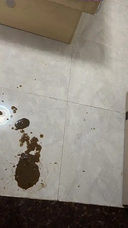 讨论狗狗拉黑色油状便便是怎么回事有图慎入