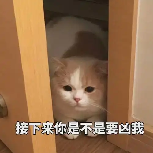 可爱萌系猫咪文字表情包