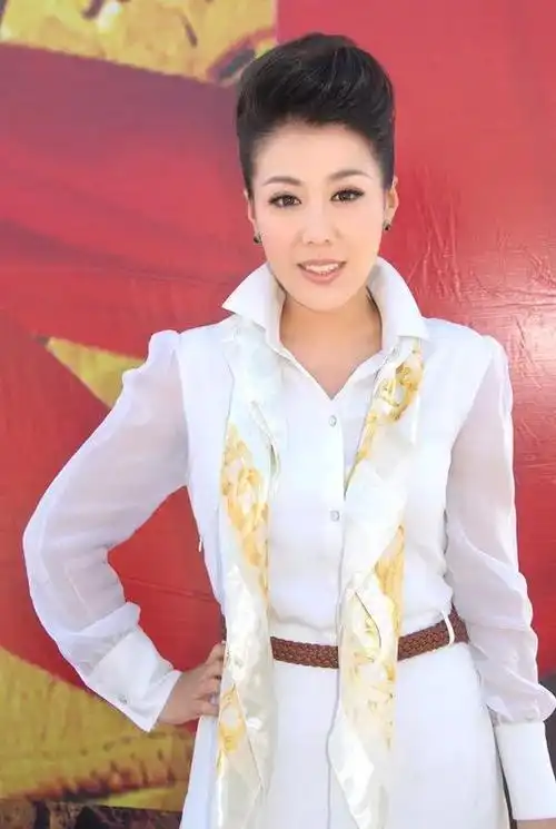 歌唱家王喆歌唱技法优缺点分析及其学习注意事项