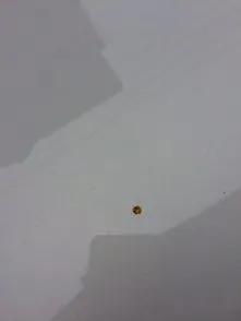 车上苍蝇屎怎么去掉