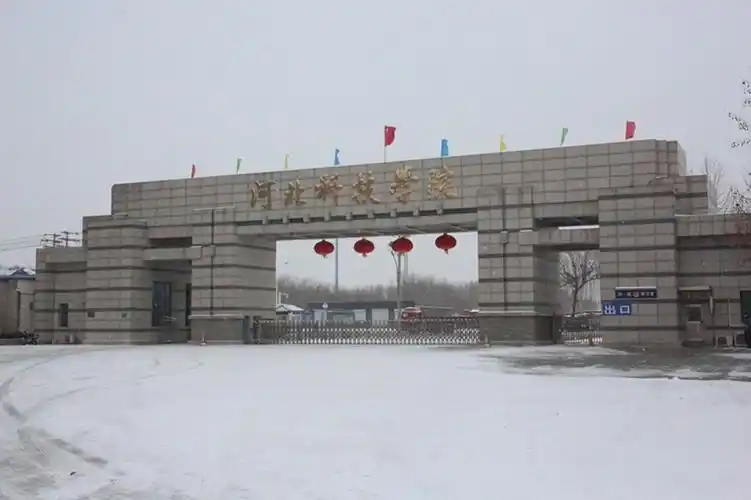 一场春雪为河北科技学院校园披上银装