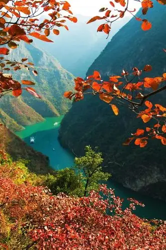 错过就要再等一年 小三峡红叶目前正红