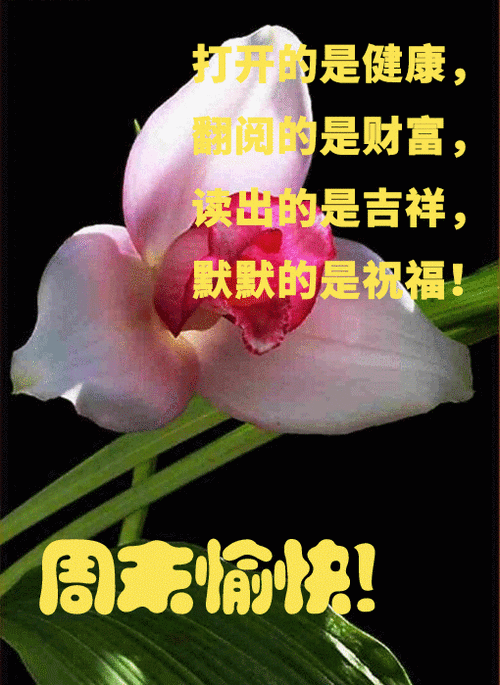 早上好图片祝福语|思念|早上好图片|晨风|清晨|祝福语_手机网易网