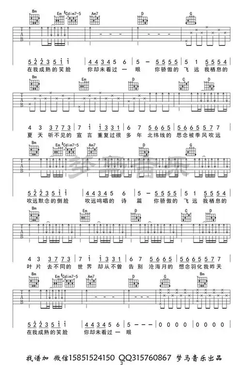 《飞鸟和蝉》吉他谱-任然-g调简单版弹唱六线谱-高清图片谱1