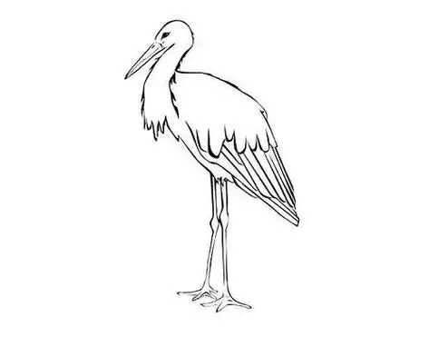 儿童白鹭简笔画怎么画