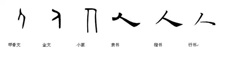 人"字从甲骨文 → 金文 → 小篆 → 隶书 → 楷书 → 行书的变化过程