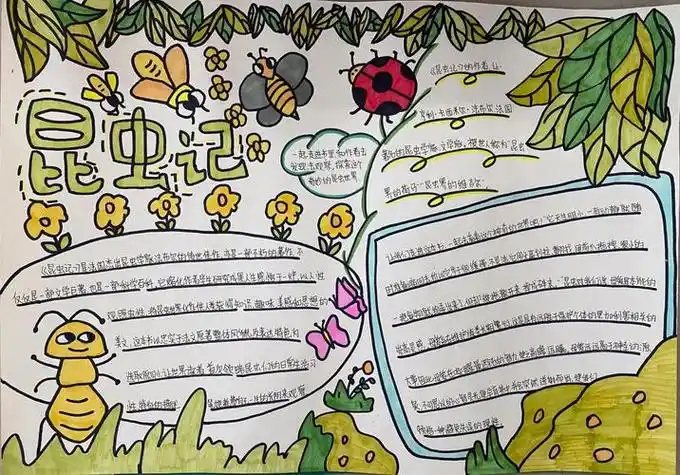 昆虫备忘录制作手抄报昆虫记手抄报