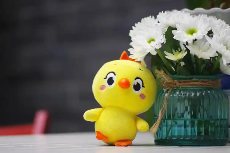 小黄鸡高登摄影作品(3)