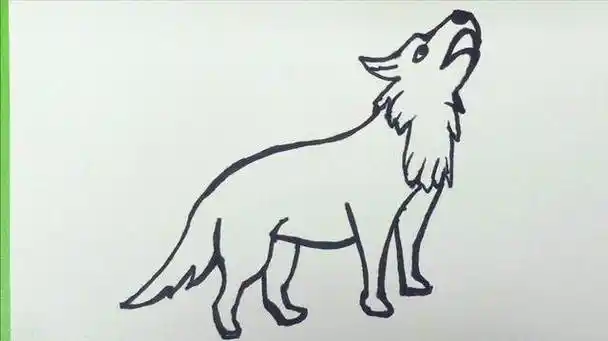 狼简笔画 狼简笔画儿童画