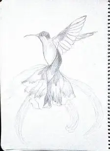 青鸟简笔画幼儿园小朋友