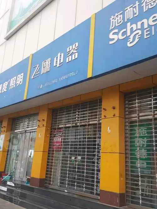 飞雕电器(平安南大街店)