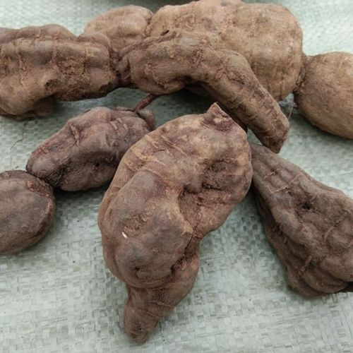 千年何首乌生首乌 统货500g【图片 价格 品牌 报价】-京东