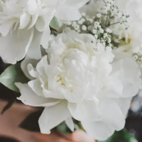 266 金牛座:嘉德利亚兰,铃兰,红掌,金百合,黄玫瑰,金彗星,康乃馨等.