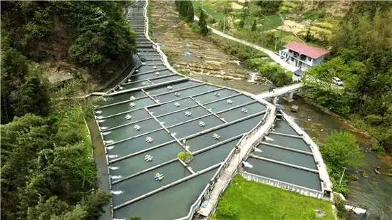 冷水鱼养殖场.通讯员 储潇 摄