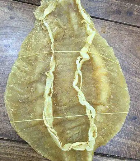 金钱鳘是一种什么样的东西为什么竟如此珍贵