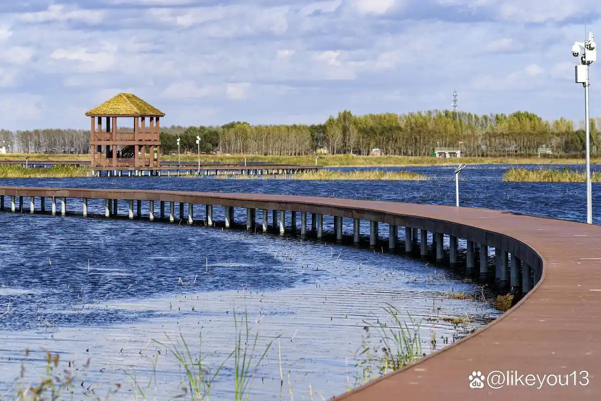 高台月牙湖公园:自然与人文的完美融合 高台月牙湖公园,一个让人流连