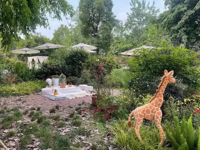 重庆熊婆婆的花园,门票38元,比南山植物园还贵,凭什么?