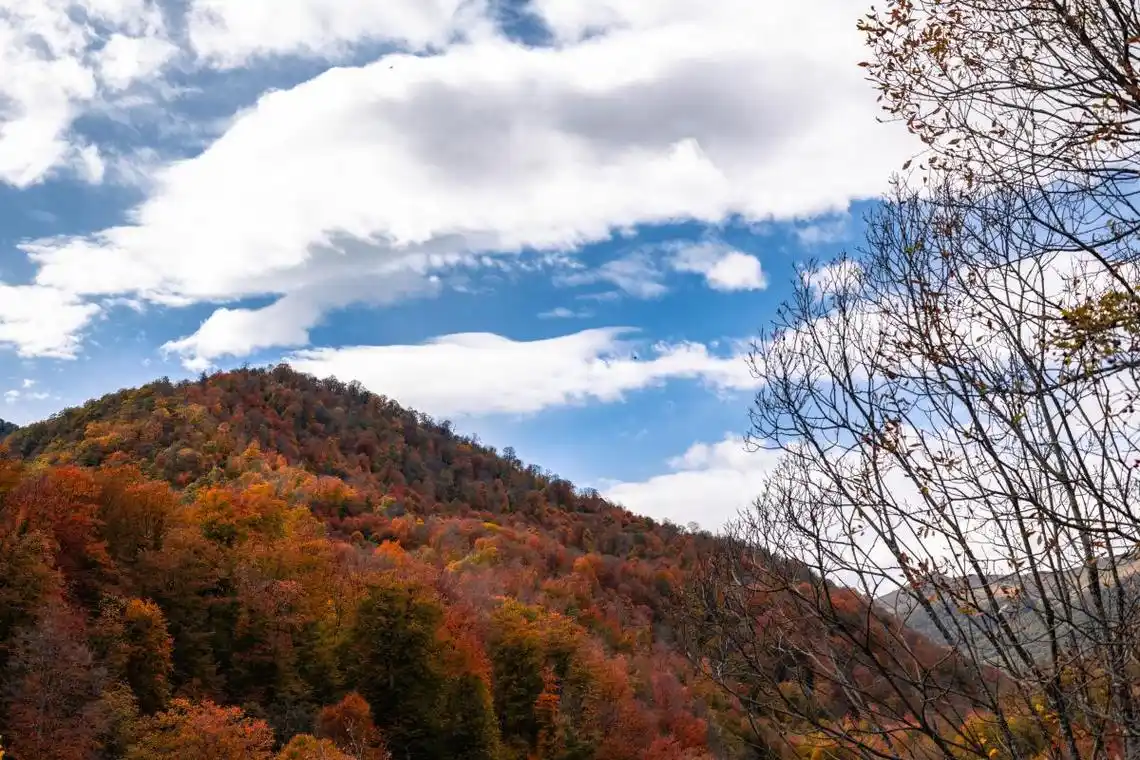 仙女山秋季美景如画 随着秋天的到来,仙女山变得更加美丽动人.