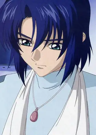 求高达seed阿斯兰·萨拉图片