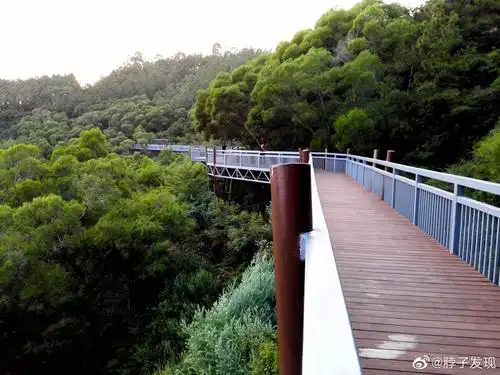 厦门步行栈道将在不久后完工.但少有人知的是,位于仙岳山南麓