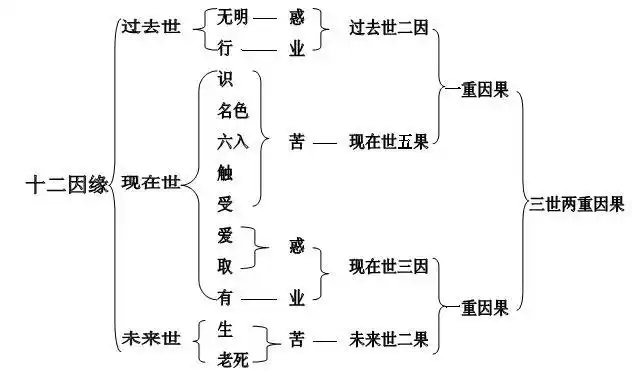 因果是宇宙的规律 ——八个因果实例让您了知因果