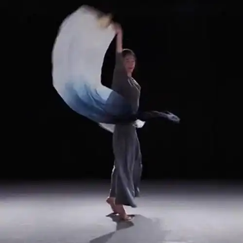 水墨黑色真丝舞蹈扇子古典舞左手指月水墨兰亭长绸扇烟雨云台舞扇