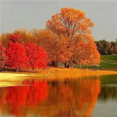 年吉利招财的头像风景大全,微信头像图片